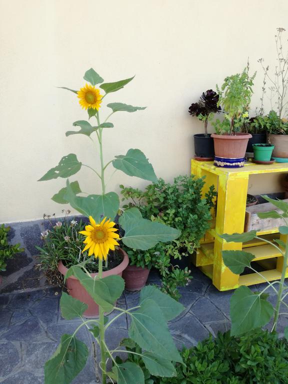 The Yellow House Fiumicino Luaran gambar